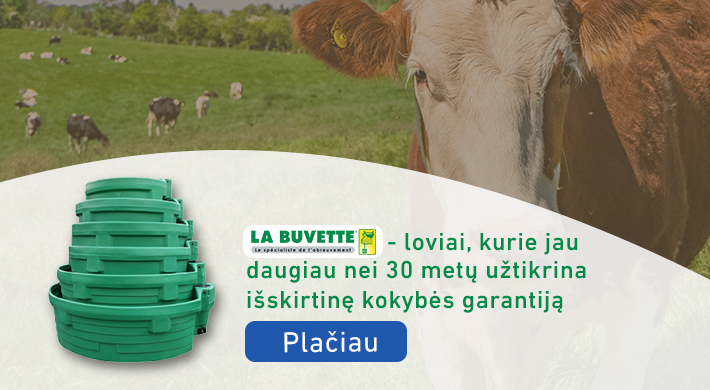 girdyklos ir girdimo elementai