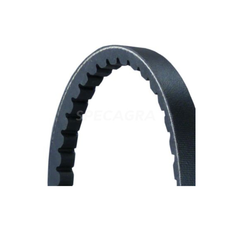 01180913 Diržas AVX13X975