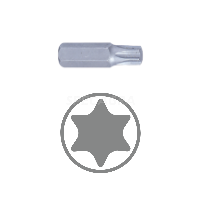 10 mm bitų rinkinys, 43 vnt., smūginis KING TONY 2 10 mm bitų rinkinys, 43 vnt., smūginis KING TONY 2