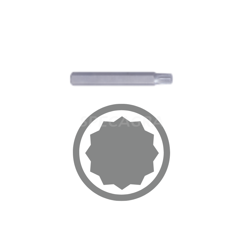 10 mm bitų rinkinys, 43 vnt., smūginis KING TONY 6