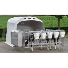 150050 Grupinis 5vietų veršelių namelis su fiksacine tvora (250570) 150050 Grupinis 5vietų veršelių namelis su fiksacine tvora (250570)