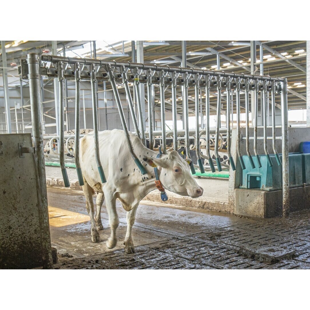 323910 Rėmas vienpusių vartų su ,,pirštais'' 1,20 m pločio 323910 1 323910 Rėmas vienpusių vartų su ,,pirštais'' 1,20 m pločio 323910 1