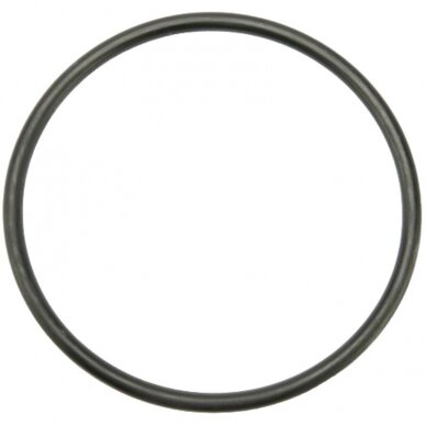 97-4519 Žiedelis 97-4519 Žiedelis