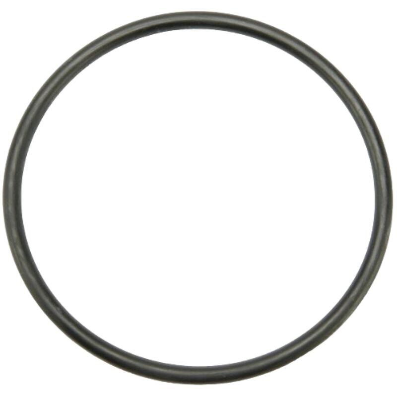 97-4519 Žiedelis 97-4519 Žiedelis