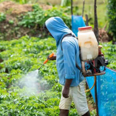 Akumuliatorinis purkštuvas 12L 18V 5Ah M7 (be baterijos)