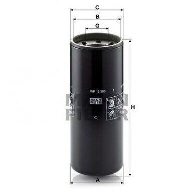 Alyvos filtras WP 12 300