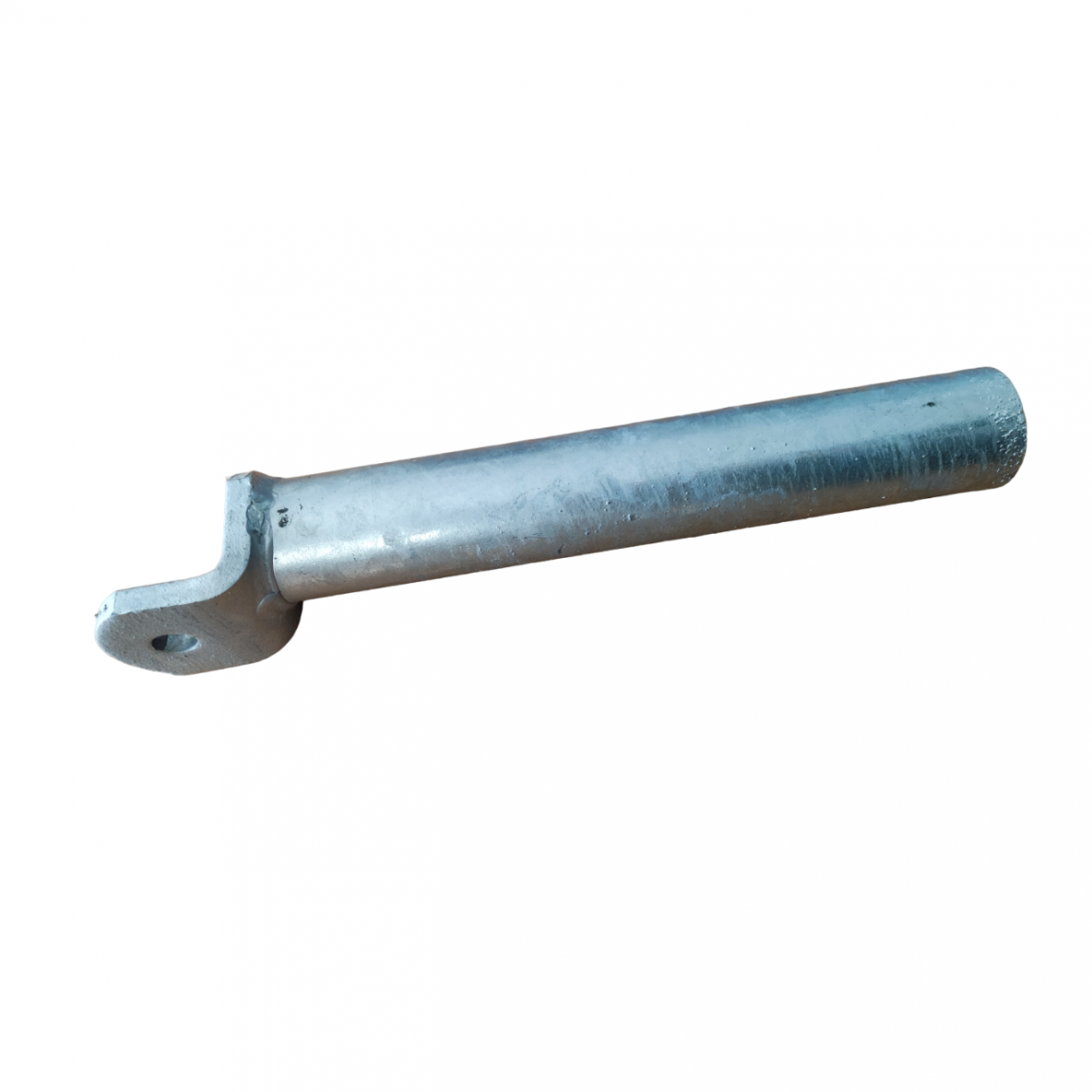 Antgalis tvorai 10295 Antgalis tvorai 10295