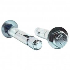 Ankeris su varžtu M10x70/5-Zn