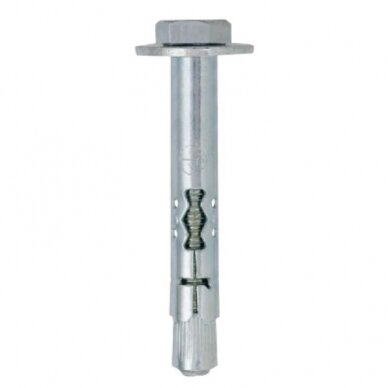 Ankeris su varžtu M8x60/5-Zn Ankeris su varžtu M8x60/5-Zn