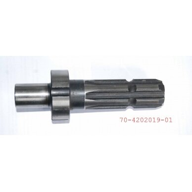 Antgalis 70-4202019-01(8 šlic.- 4 kulk.)