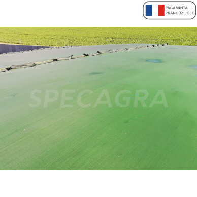 Apsauginis tinklas nuo paukščių 6x25m (200g/m2)