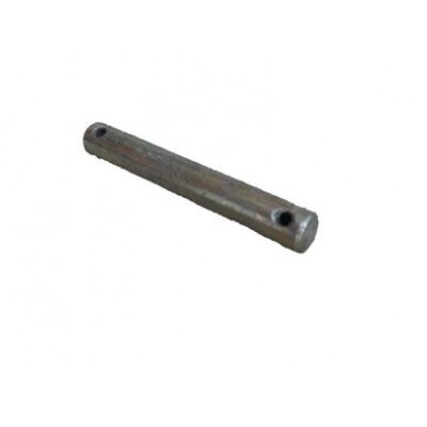 Ašelė DSŠ 14.21.121 Ašelė DSŠ 14.21.121