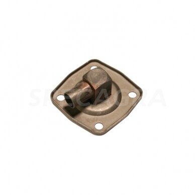 Dangtelis 245-1118020 A1