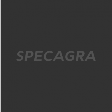 Dažai Fendt pilki 400ml 709004KR 1 Dažai Fendt pilki 400ml 709004KR 1