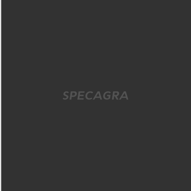 Dažai Fendt pilki 400ml 709004KR 1