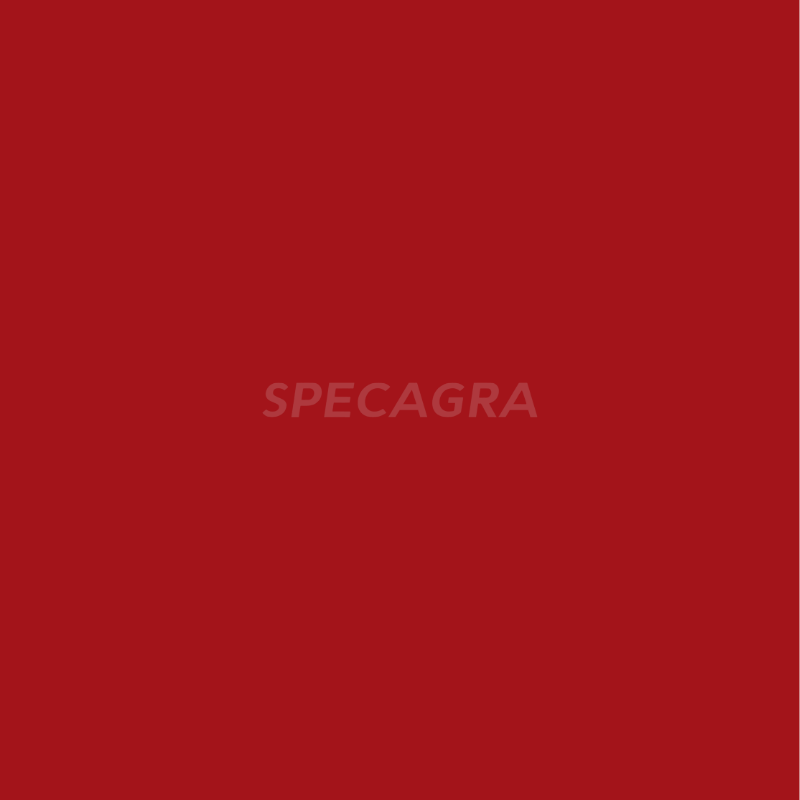 Dažai Fendt raudoni 400ml 318504KR s.300 1 Dažai Fendt raudoni 400ml 318504KR s.300 1