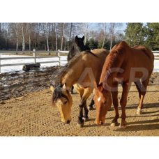 Dirvožemio sutvirtinimo plokštė INB 500x500x53mm