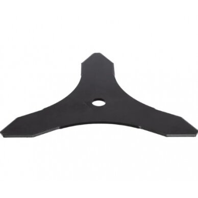 Diskas FGP314255 3T-300-20-4 Diskas FGP314255 3T-300-20-4