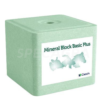 Druska laižoma Basic Plus 10 kg žalsva
