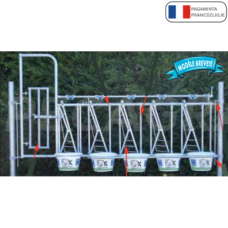 Fiksacinė veršelių tvora su praėjimu (6 vietos)