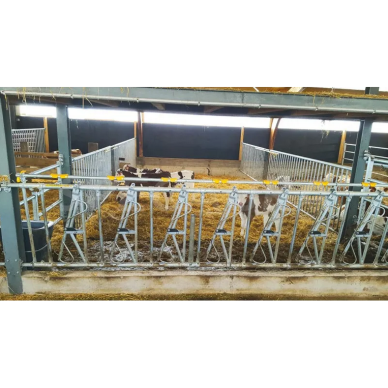 Fiksacinė veršelių tvora 3m. 6vietos 1123736 Fiksacinė veršelių tvora 3m. 6vietos 1123736