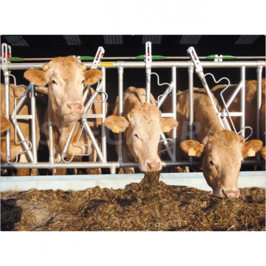 Fiksacinės šėrimo tako grotos 4m 5-ių vietų Fiksacinės šėrimo tako grotos 4m 5-ių vietų