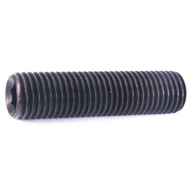 Fiksatorius DIN 913 M8X60 Fiksatorius DIN 913 M8X60