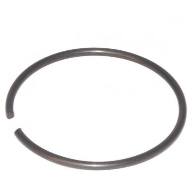 Fiksavimo žiedas D351-7993RW60 25 FI60