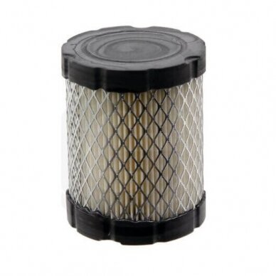 Filtras oro 33270550 Briggs and stratton Filtras oro 33270550 Briggs and stratton