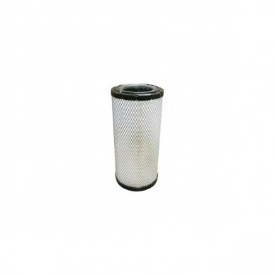 Filtras oro Boldv.RS3971(C19 005/AF25957)