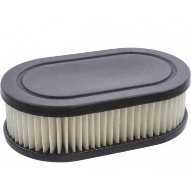 Filtras oro Briggs Stratton 33270549 111X67X34 2