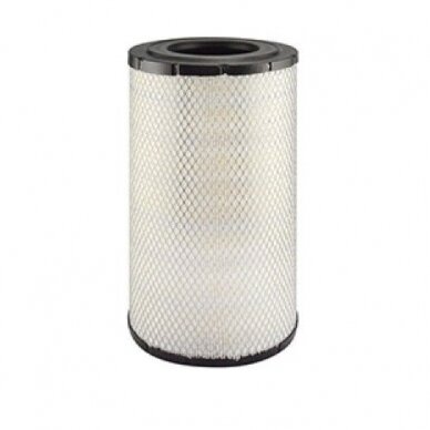 Filtras oro RS3934( C21 584/AF25617)