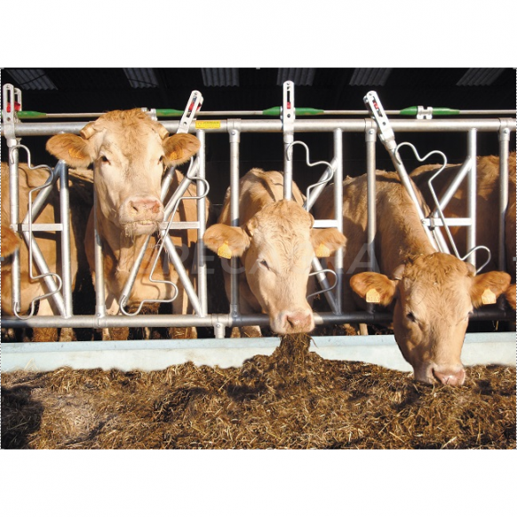 Fiksacinės šėrimo tako grotos 4m 5-ių vietų