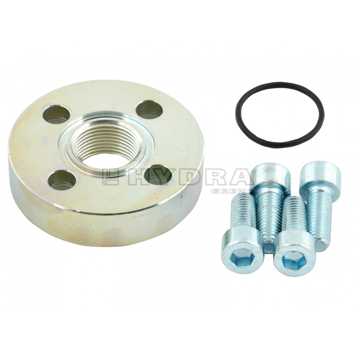 Flanšas siurblio B810-FI3/4X51