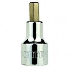 Galvutė su antgaliu 1/2 50L 5mm(imbus)
