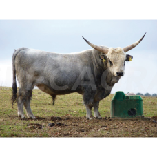 Girdykla neužšąlanti, Thermolac 40, 1672