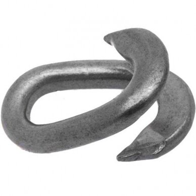 Grandis 10 37,5*17,0 1554-080299 Grandis 10 37,5*17,0 1554-080299