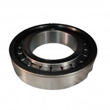 Guolis 102211 CRF
