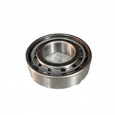 Guolis 102305 CRF