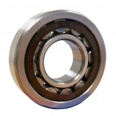 Guolis 205 CR