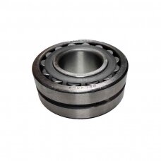 Guolis 53610H (22310.w33)RUS