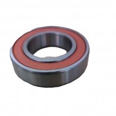 Guolis 6006 2RS(180106) CR/VBF