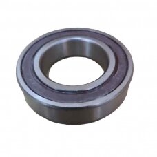 Guolis 6007 2RS 180107CR