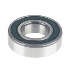 Guolis 6010.2RS NSK