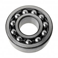Guolis 6013.2RS VBF