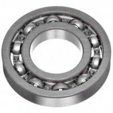Guolis 6014.2RS TIM/NSK