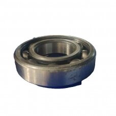 Guolis 6207 207 Tube CR