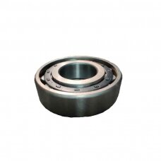 Guolis N307 2307 CR