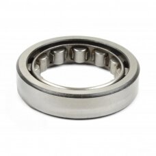 Guolis RNU213/292213 K1M GPZ