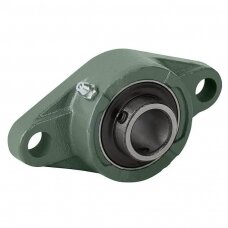 Guolis UCFL 203 CRAFT su korpusu